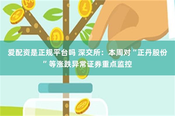 爱配资是正规平台吗 深交所：本周对“正丹股份”等涨跌异常证券重点监控