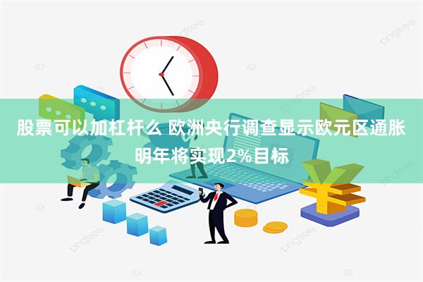 股票可以加杠杆么 欧洲央行调查显示欧元区通胀明年将实现2%目标