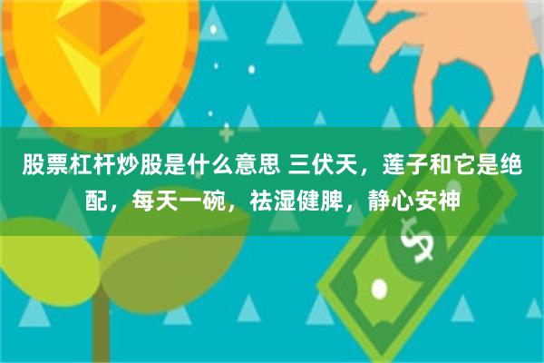 股票杠杆炒股是什么意思 三伏天，莲子和它是绝配，每天一碗，祛湿健脾，静心安神