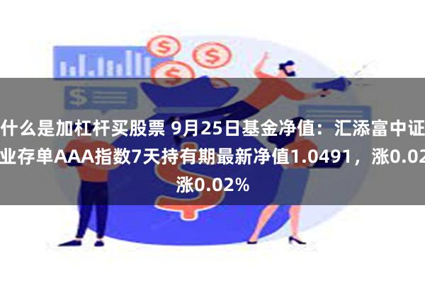 什么是加杠杆买股票 9月25日基金净值：汇添富中证同业存单AAA指数7天持有期最新净值1.0491，涨0.02%