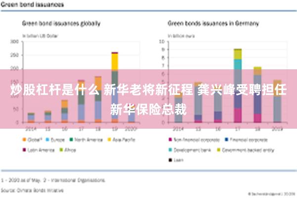 炒股杠杆是什么 新华老将新征程 龚兴峰受聘担任新华保险总裁