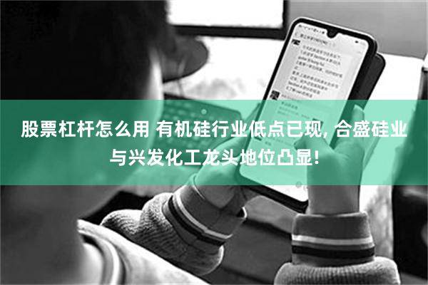 股票杠杆怎么用 有机硅行业低点已现, 合盛硅业与兴发化工龙头地位凸显!