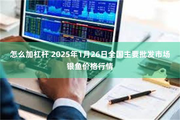 怎么加杠杆 2025年1月26日全国主要批发市场银鱼价格行情