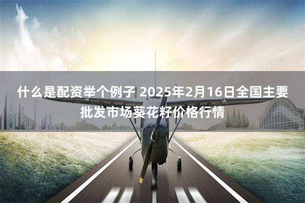 什么是配资举个例子 2025年2月16日全国主要批发市场葵花籽价格行情